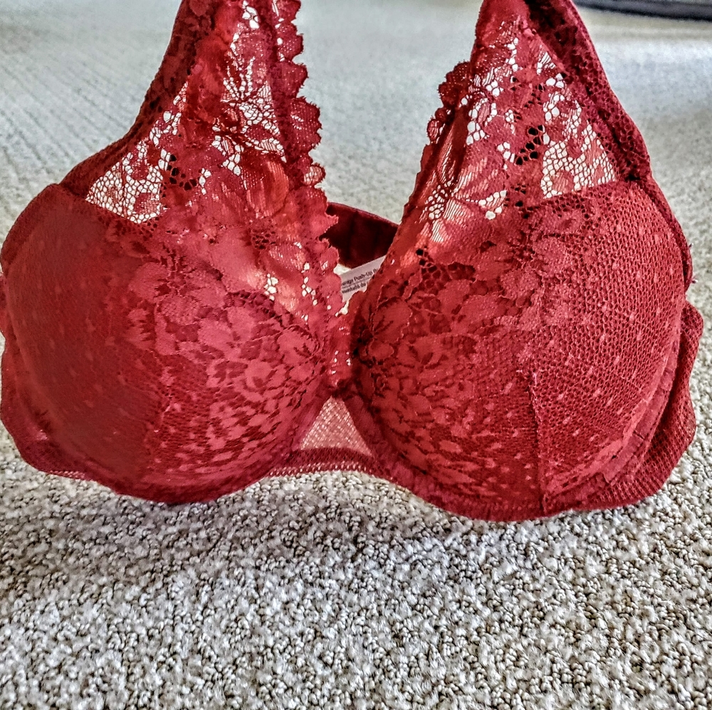 Rust/dark red padded bra